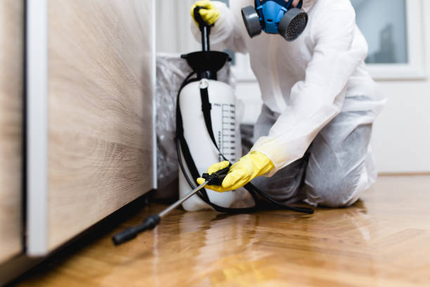 Best Best Pest Control Companies  in Simpsonville, KY