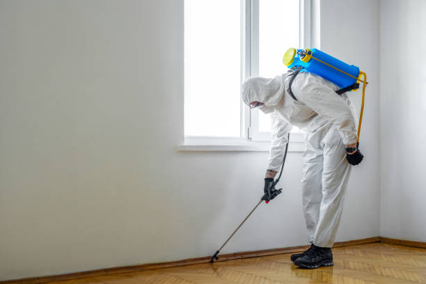Best Insect Control  in Simpsonville, KY