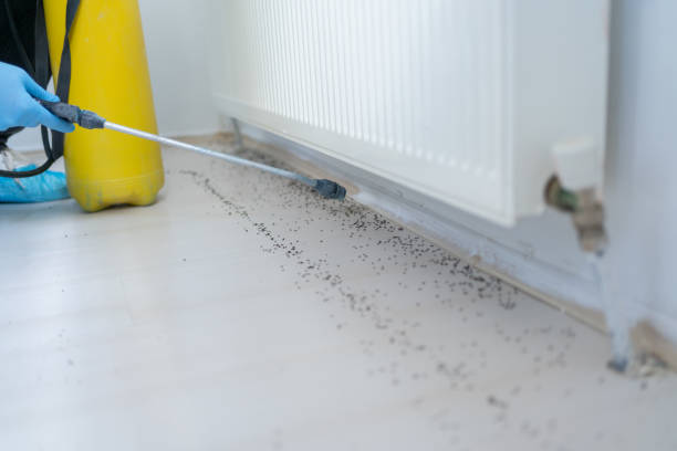  Simpsonville, KY Pest Control Pros