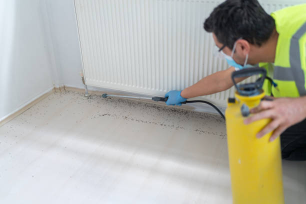 Best Local Pest Control Services  in Simpsonville, KY