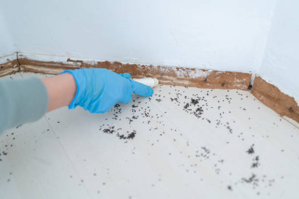 Best Cockroach Control Services  in Simpsonville, KY